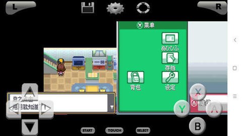 口袋妖怪魂银中文版