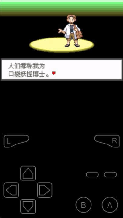 口袋妖怪极光石