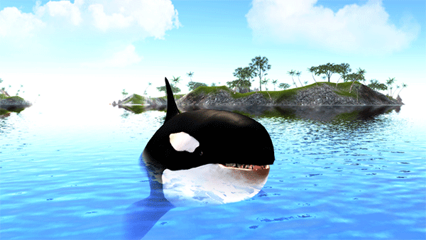虎鲸模拟器(The Killer Whale)