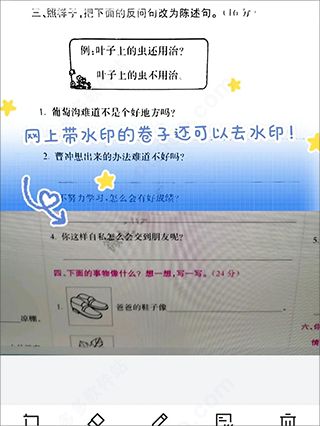 蜜蜂试卷最新版