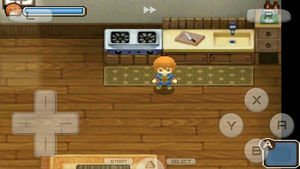 牧场物语双子村最新版