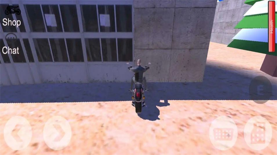 自由漫游城市游戏(Freeroam City)