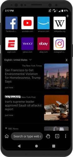 kiwibrowser浏览器