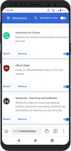 kiwibrowser浏览器