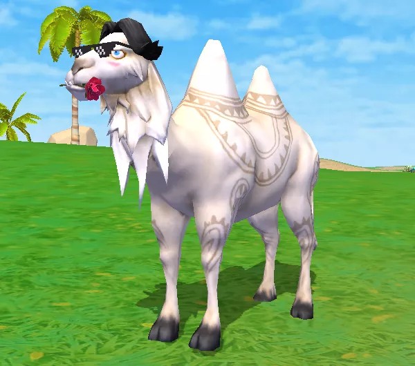 奇遇宠物进阶详解