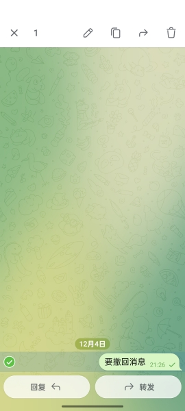 纸飞机中文版官方版