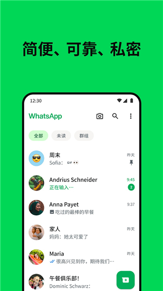 WhatsApp手机