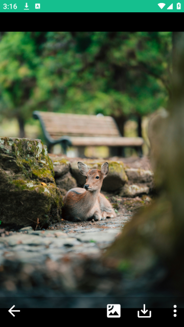图片大师最新版