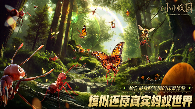 蚂蚁地下王国最新版