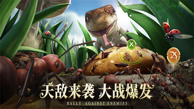 蚂蚁地下王国最新版