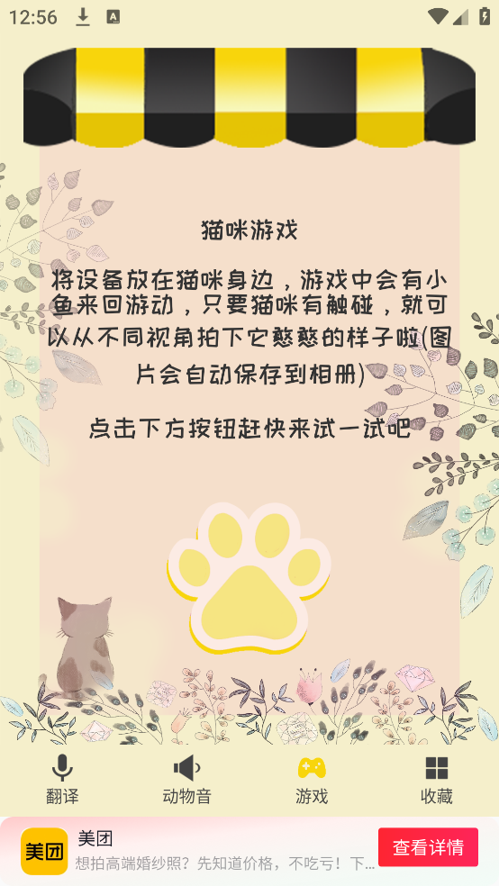猫语翻译