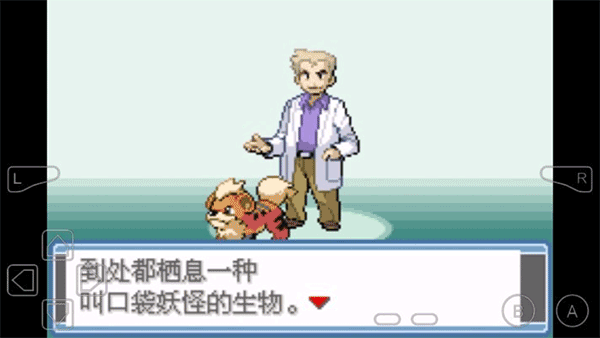 口袋妖怪永恒之焱汉化版