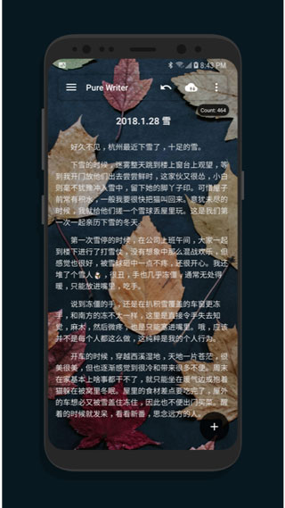 纯纯写作安卓版