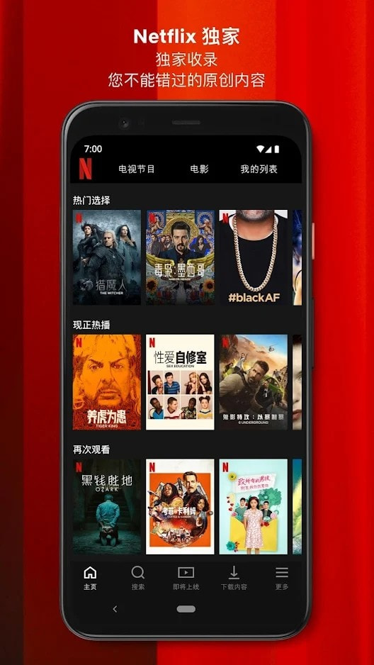 Netflix奈飞手机app下载