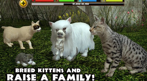 流浪猫模拟器中文版(StrayCatSim)