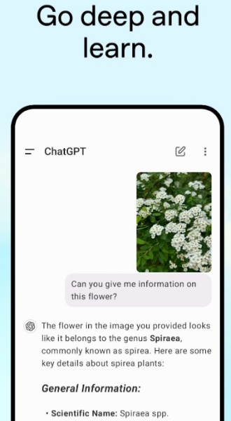 CHATGPT国内版本免费官网版