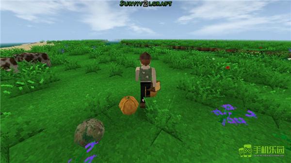 生存战争2.4中文版