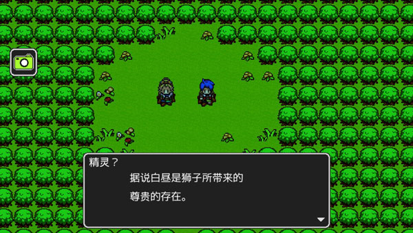 狮子王传说图片4