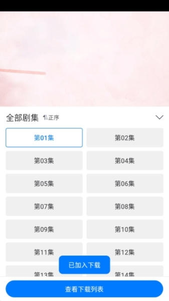 雷龙影视缓存图片3