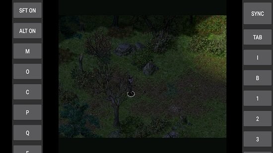 秦殇安卓移植版