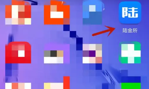 陆金所4