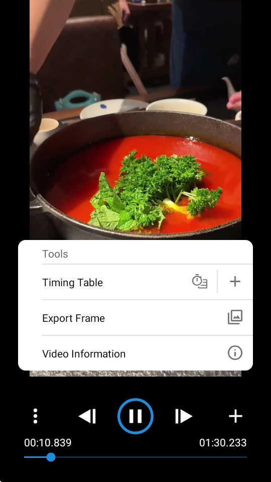 Frameskip逐帧播放器
