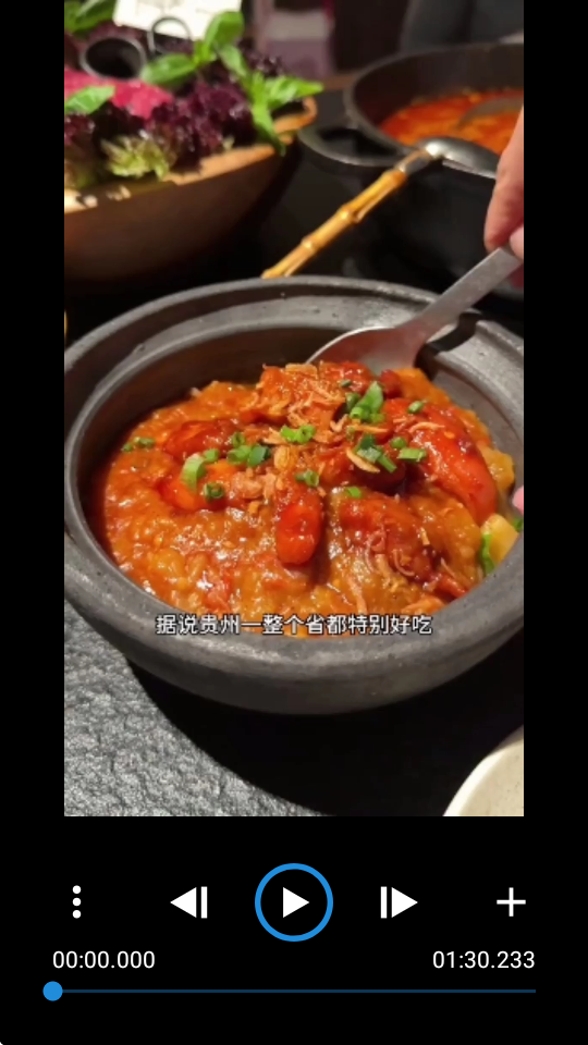 Frameskip逐帧播放器