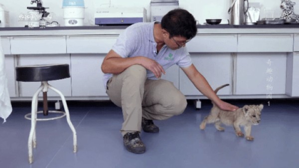 黑白电视高清盒子