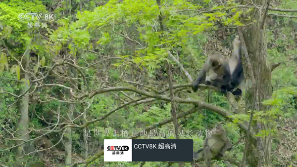 我的电视安卓4版本图片3