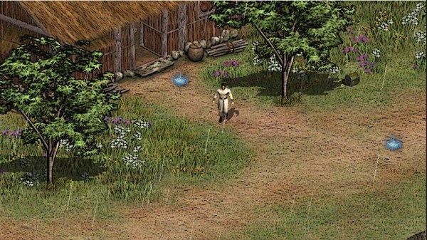 英雄群侠传2无限金币版