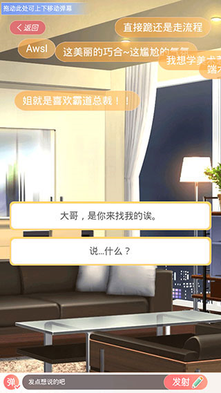 假王子25