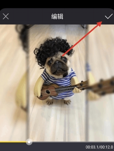 清爽视频编辑器编辑视频图片7