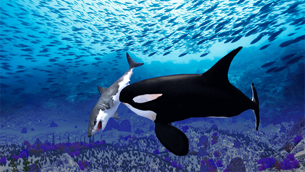 虎鲸模拟器下载(The Killer Whale)