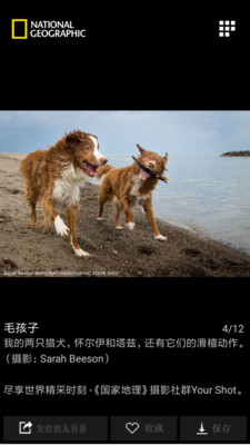国家地理app免费版