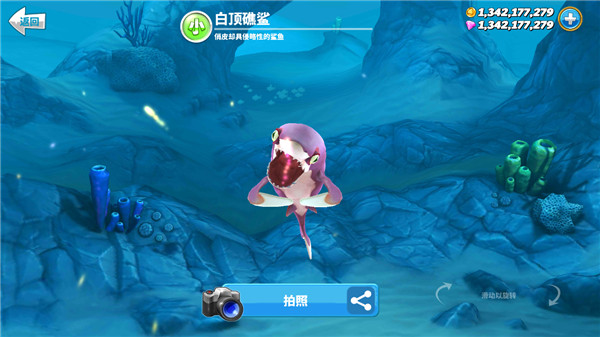 饥饿鲨世界国际服正版(Hungry Shark World)