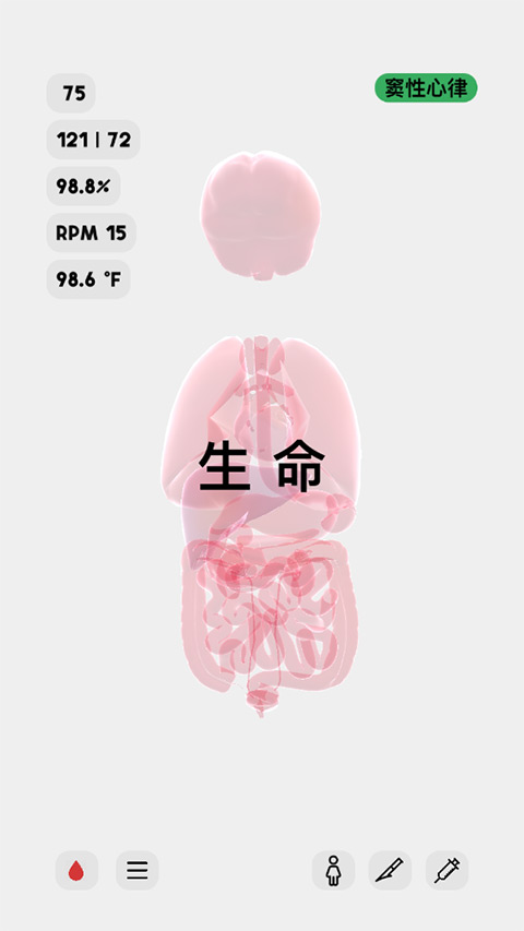 生命life苹果手机版