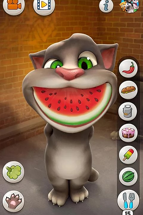会说话的汤姆猫单机版