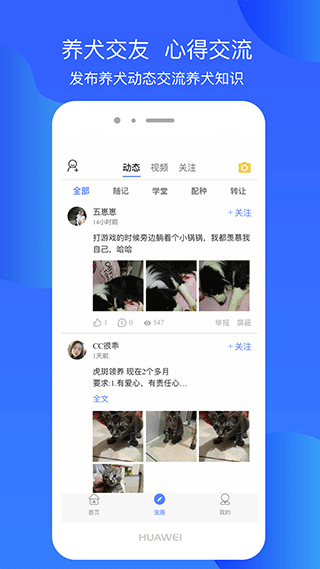 犬卫士app