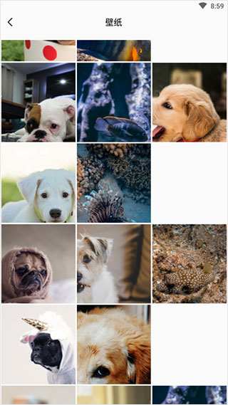 实时相机app