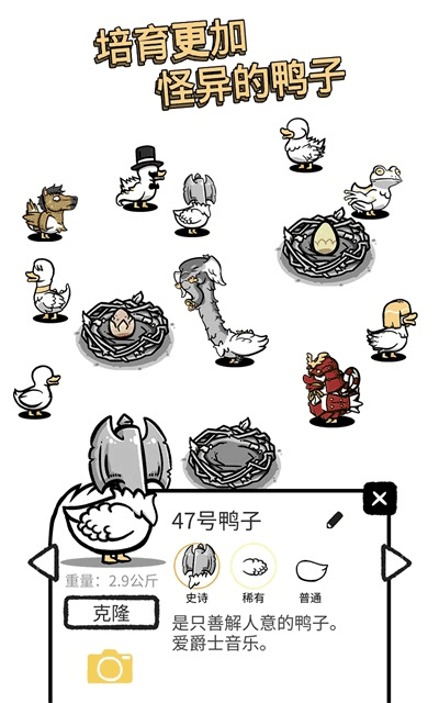 clusterduck游戏