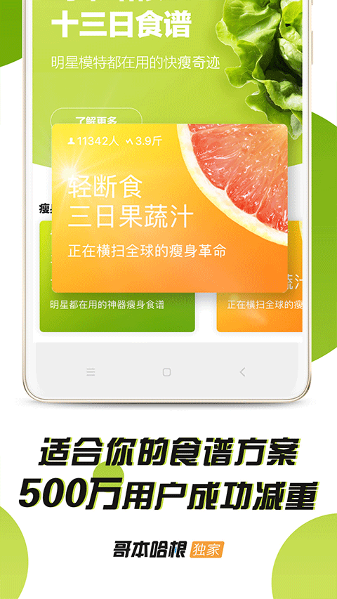 哥本哈根减肥法食谱13天app